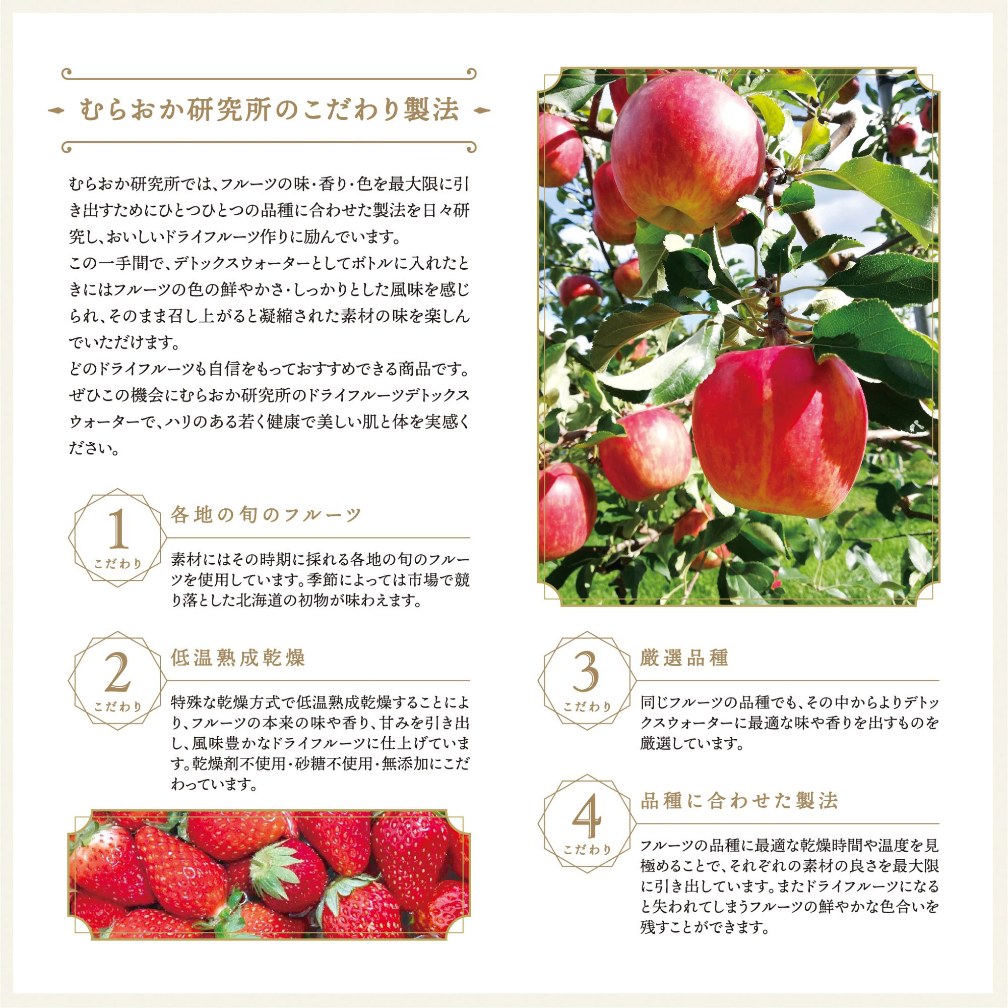 むらおか研究所のドライフルーツ製法